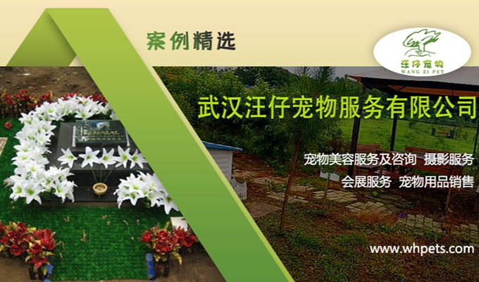 寵物美容服務(wù)案例